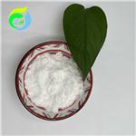 Chitosan pictures